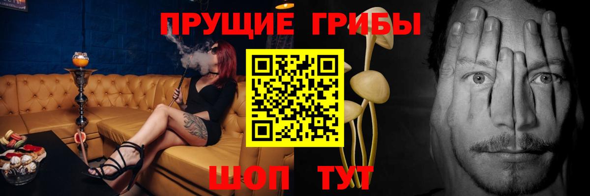 Ногинск  Псилоцибиновые грибы MAGIC MUSHROOMS  Вход с VPN 