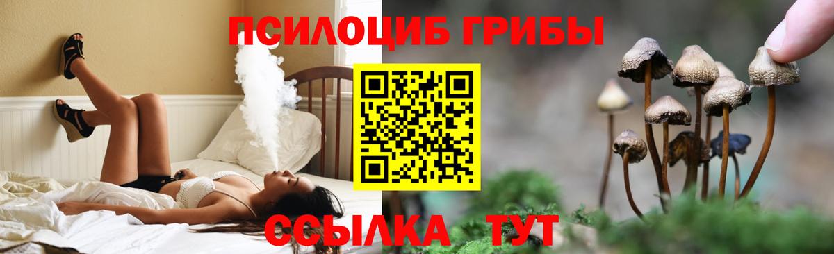 Псилоцибиновые грибы мухоморы Ногинск